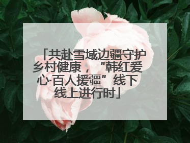 共赴雪域边疆守护乡村健康，“韩红爱心·百人援疆”线下线上进行时