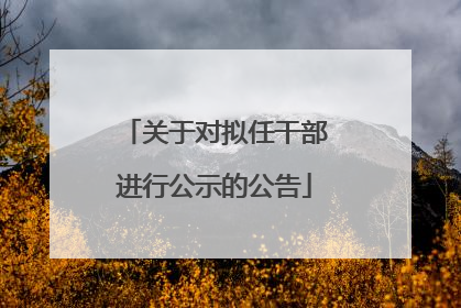 关于对拟任干部进行公示的公告