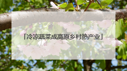 冷凉蔬菜成高原乡村热产业
