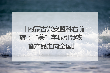 内蒙古兴安盟科右前旗：“蒙”字标引领农畜产品走向全国