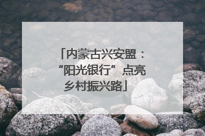 内蒙古兴安盟：“阳光银行”点亮乡村振兴路
