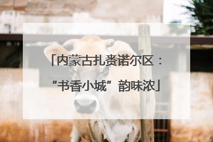 内蒙古扎赉诺尔区：“书香小城”韵味浓