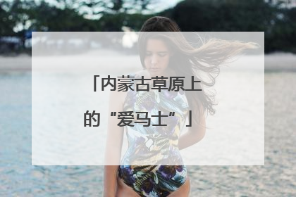 内蒙古草原上的“爱马士”