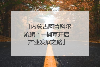 内蒙古阿鲁科尔沁旗：一棵草开启产业发展之路