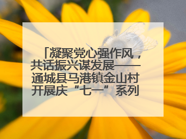 凝聚党心强作风，共话振兴谋发展——通城县马港镇金山村开展庆“七一”系列庆祝活动