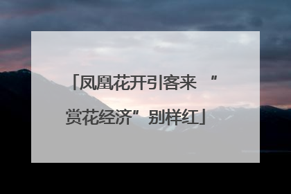 凤凰花开引客来 “赏花经济”别样红