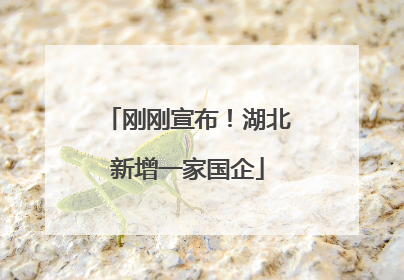 刚刚宣布！湖北新增一家国企