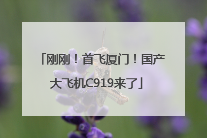 刚刚！首飞厦门！国产大飞机C919来了
