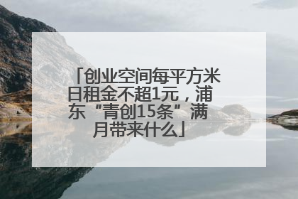 创业空间每平方米日租金不超1元，浦东“青创15条”满月带来什么
