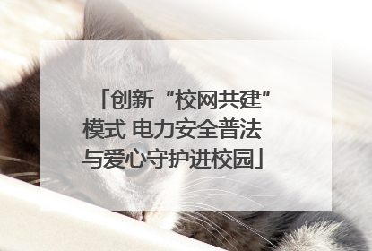 创新“校网共建”模式 电力安全普法与爱心守护进校园
