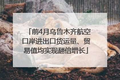 前4月乌鲁木齐航空口岸进出口货运量、贸易值均实现翻倍增长