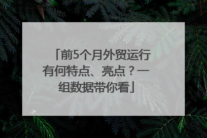 前5个月外贸运行有何特点、亮点？一组数据带你看