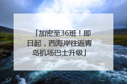 加密至36班！即日起，西海岸往返青岛机场巴士升级