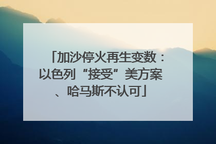 加沙停火再生变数：以色列“接受”美方案、哈马斯不认可