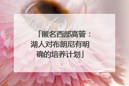 匿名西部高管：湖人对布朗尼有明确的培养计划