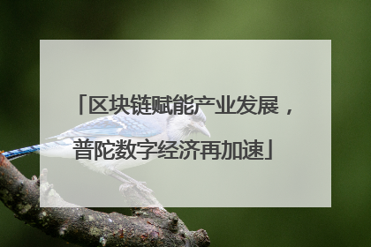 区块链赋能产业发展，普陀数字经济再加速