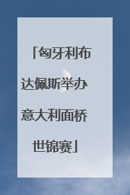 匈牙利布达佩斯举办意大利面桥世锦赛