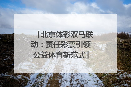北京体彩双马联动：责任彩票引领公益体育新范式