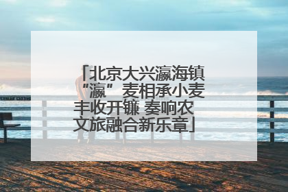 北京大兴瀛海镇“瀛”麦相承小麦丰收开镰 奏响农文旅融合新乐章