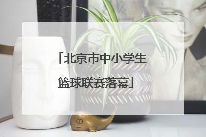 北京市中小学生篮球联赛落幕