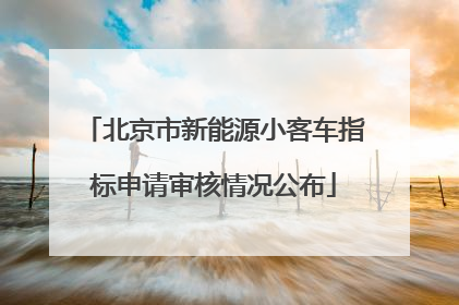 北京市新能源小客车指标申请审核情况公布