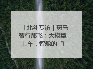 北斗专访｜斑马智行郝飞：大模型上车，智舱的“iPhone时刻”何时到来