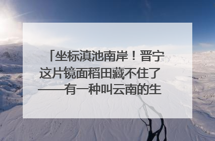 坐标滇池南岸！晋宁这片镜面稻田藏不住了——有一种叫云南的生活之365天