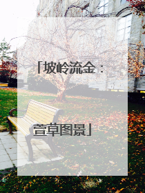 坡岭流金：萱草图景
