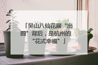 吴山八仙花展“出圈”背后，是杭州的“花式幸福”