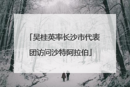 吴桂英率长沙市代表团访问沙特阿拉伯