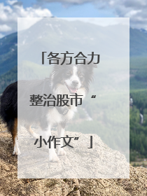 各方合力整治股市“小作文”