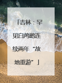吉林：罕见白鸬鹚连续两年“故地重游”
