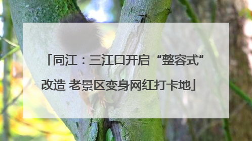 同江：三江口开启“整容式”改造 老景区变身网红打卡地