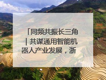 同频共振长三角｜共谋通用智能机器人产业发展，浙江新昌科技日搭建协同创新平台