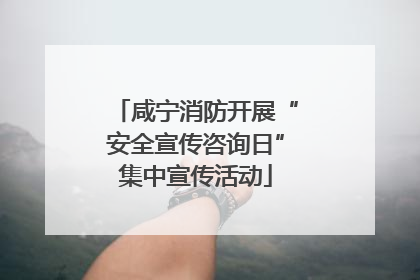 咸宁消防开展“安全宣传咨询日”集中宣传活动