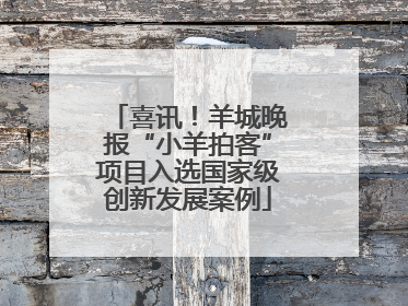 喜讯！羊城晚报“小羊拍客”项目入选国家级创新发展案例