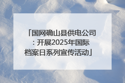 国网确山县供电公司：开展2025年国际档案日系列宣传活动