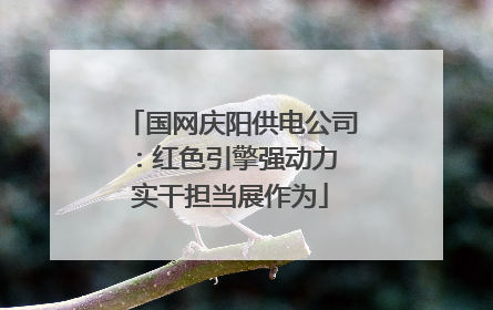 国网庆阳供电公司：红色引擎强动力 实干担当展作为