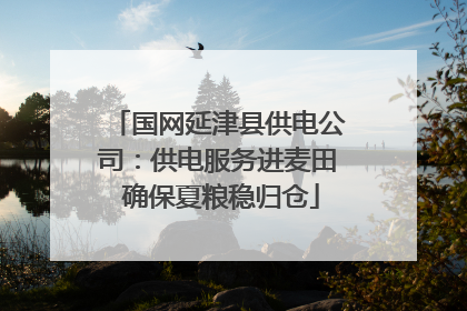 国网延津县供电公司：供电服务进麦田 确保夏粮稳归仓