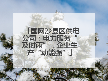国网沙县区供电公司：电力服务“及时雨”，企业生产“动能强”