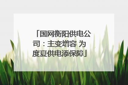 国网衡阳供电公司：主变增容 为度夏供电添保障