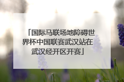 国际马联场地障碍世界杯中国联赛武汉站在武汉经开区开赛