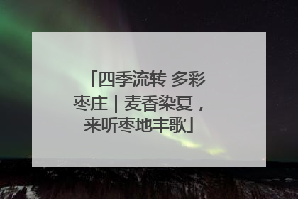 四季流转 多彩枣庄｜麦香染夏，来听枣地丰歌