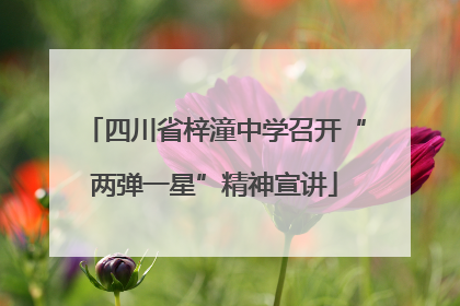 四川省梓潼中学召开“两弹一星”精神宣讲