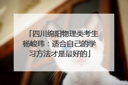 四川绵阳物理类考生杨峻玮：适合自己的学习方法才是最好的