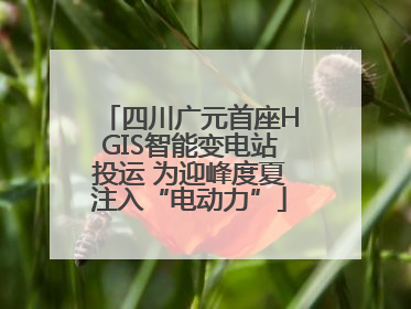 四川广元首座HGIS智能变电站投运 为迎峰度夏注入“电动力”