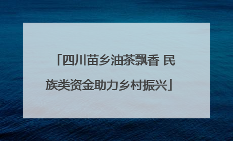 四川苗乡油茶飘香 民族类资金助力乡村振兴