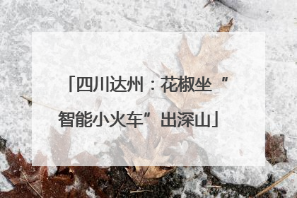 四川达州：花椒坐“智能小火车”出深山