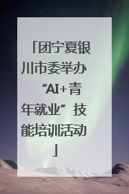 团宁夏银川市委举办“AI+青年就业”技能培训活动
