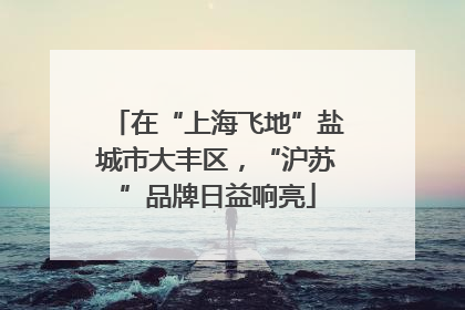 在“上海飞地”盐城市大丰区，“沪苏”品牌日益响亮